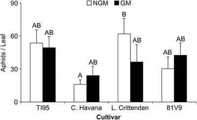 Non-target Effects of Hyperthermostable α-Amylase Transgenic Nicotiana tabacum in the Laboratory and the Field